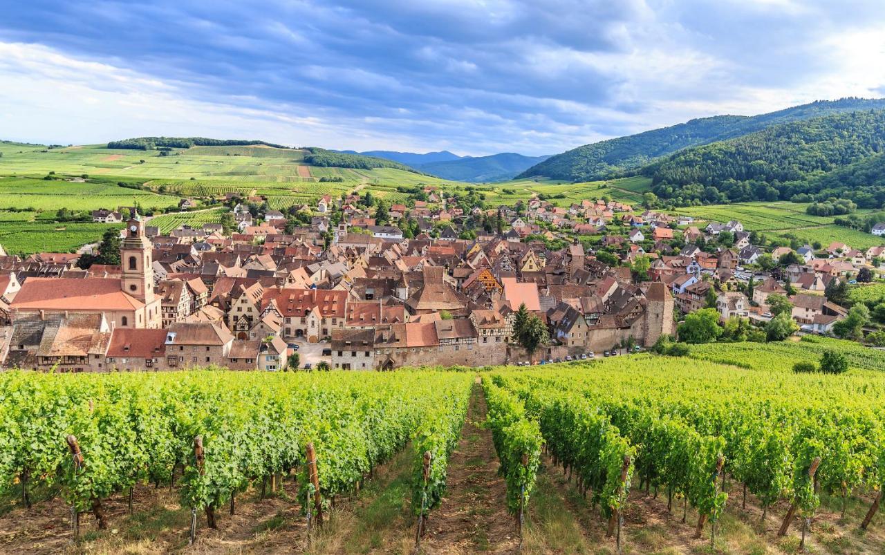 Apartmán Le 19 Kleber Climatise Colmar Exteriér fotografie